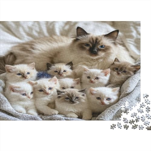Premium 1000 Teile Puzzle Für Katzenliebhaber | 75x50 cm XXL-Format Erwachsenenpuzzle | Kreatives Challenge-Spiel Ab 14 Jahren von GRBASNDOU