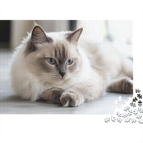 Premium 1000 Teile Puzzle Für Katzenliebhaber | 75x50 cm XXL-Format Erwachsenenpuzzle | Kreatives Challenge-Spiel Ab 14 Jahren von GRBASNDOU