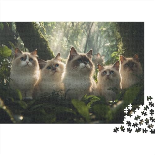 Premium 1000 Teile Puzzle Für Katzenliebhaber | 75x50 cm XXL-Format Erwachsenenpuzzle | Kreatives Challenge-Spiel Ab 14 Jahren von GRBASNDOU