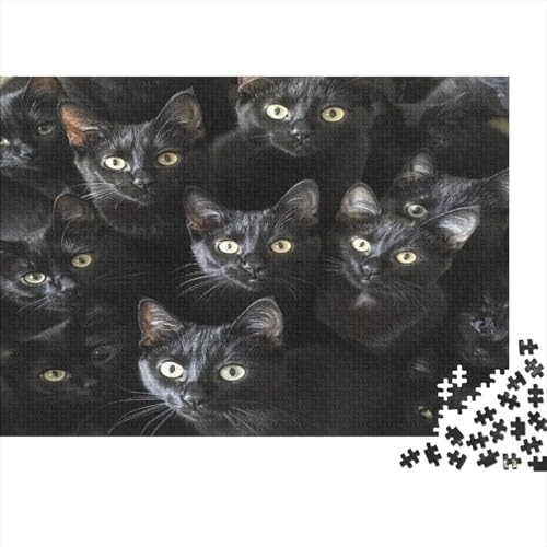 Premium 1000 Teile Puzzle Für Katzenliebhaber | 75x50 cm XXL-Format Erwachsenenpuzzle | Kreatives Challenge-Spiel Ab 14 Jahren von GRBASNDOU