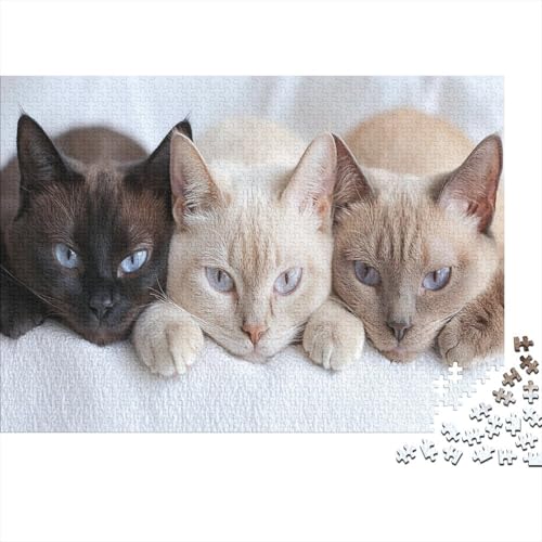 Premium 1000 Teile Puzzle Für Katzenliebhaber | 75x50 cm XXL-Format Erwachsenenpuzzle | Kreatives Challenge-Spiel Ab 14 Jahren von GRBASNDOU