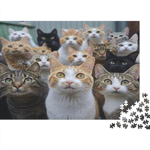 Premium 1000 Teile Puzzle Für Katzenliebhaber | 75x50 cm XXL-Format Erwachsenenpuzzle | Kreatives Challenge-Spiel Ab 14 Jahren Premium 1000 Teile Puzzle Für Katzenliebhaber | 75x50 cm XXL-Format Erwachsenenpuzzle | Kreatives Challenge-Spiel Ab 14 Jahren von GRBASNDOU