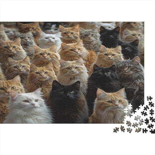 Premium 1000 Teile Puzzle Für Katzenliebhaber | 75x50 cm XXL-Format Erwachsenenpuzzle | Kreatives Challenge-Spiel Ab 14 Jahren von GRBASNDOU
