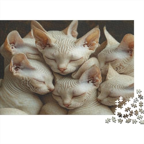 Premium 1000 Teile Puzzle Für Katzenliebhaber | 75x50 cm XXL-Format Erwachsenenpuzzle | Kreatives Challenge-Spiel Ab 14 Jahren von GRBASNDOU