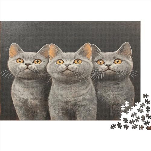 Premium 1000 Teile Puzzle Für Katzenliebhaber | 75x50 cm XXL-Format Erwachsenenpuzzle | Kreatives Challenge-Spiel Ab 14 Jahren von GRBASNDOU