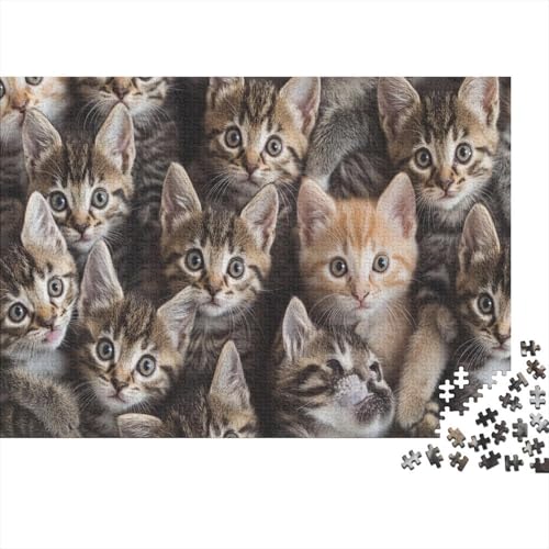 Premium 1000 Teile Puzzle Für Katzenliebhaber | 75x50 cm XXL-Format Erwachsenenpuzzle | Kreatives Challenge-Spiel Ab 14 Jahren von GRBASNDOU