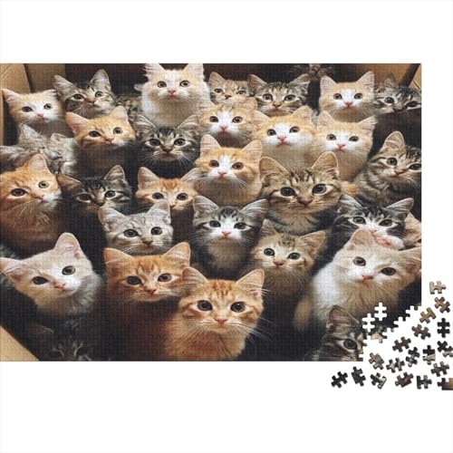 Premium Katzenmotiv Puzzle 1000 Teile | 75x50 cm Großformat Für Erwachsene | Kreatives Rätselspiel Ab 14 Jahre Mit Naturdesign von GRBASNDOU
