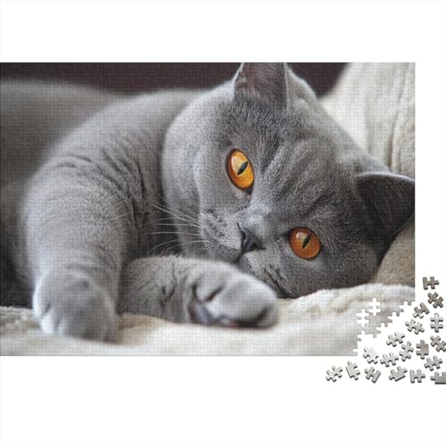 Premium Katzenmotiv Puzzle 1000 Teile | 75x50 cm Großformat Für Erwachsene | Kreatives Rätselspiel Ab 14 Jahre Mit Naturdesign von GRBASNDOU