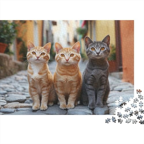 Premium Katzenmotiv Puzzle 1000 Teile | 75x50 cm Großformat Für Erwachsene | Kreatives Rätselspiel Ab 14 Jahre Mit Naturdesign von GRBASNDOU