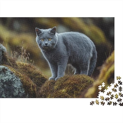 XXL Katzen-Puzzle 75x50 cm | 1000 Teile Premium-Spiel Für Erwachsene | Kreativgeschenk Ab 14 Jahre Mit Detailreichem Tiermotiv von GRBASNDOU
