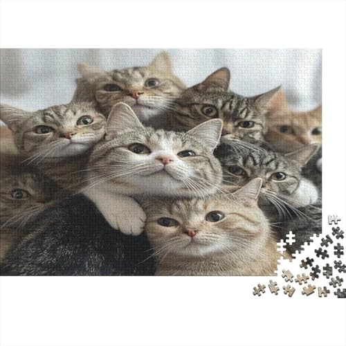 XXL Katzen-Puzzle 75x50 cm | 1000 Teile Premium-Spiel Für Erwachsene | Kreativgeschenk Ab 14 Jahre Mit Detailreichem Tiermotiv von GRBASNDOU