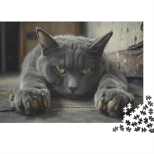 XXL Katzen-Puzzle 75x50 cm | 1000 Teile Premium-Spiel Für Erwachsene | Kreativgeschenk Ab 14 Jahre Mit Detailreichem Tiermotiv von GRBASNDOU