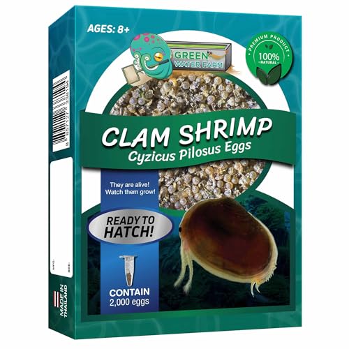 GreenWaterFarm Clam Shrimp Cyzicus Pilosus Eier zum Schlüpfen und Kultivieren, geeignet für Haustier- und Wissenschaftsprojekte (reine 2.000 Eier) von GREEN WATER FARM