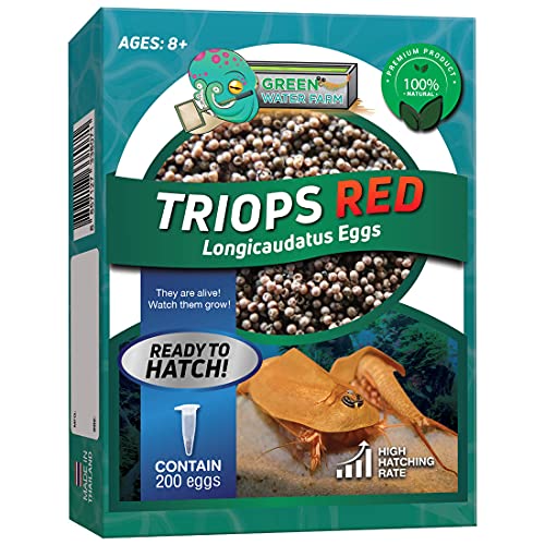 Greenwaterfarm Triops Red Longicaudatus Eggs for Hatching and Culture Suitable to be Pet and Science Project (Pure 200 Eggs) von GREEN WATER FARM