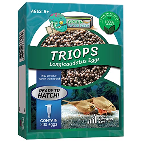 Triops Longicaudatus Eier zum Schlüpfen, geeignet als Haustier und ideal für naturwissenschaftliches Projekt (Pure 200 Eier) von GREEN WATER FARM