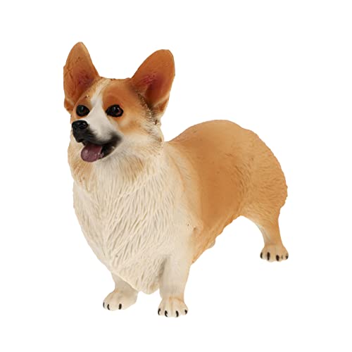 GREENADSCAPE Realistisches Corgi-Modell Hundespielzeug Haustierstatue Für Jungen Und Mädchen Dekoratives Haustierornament Für Zuhause Oder Das Büro von GREENADSCAPE