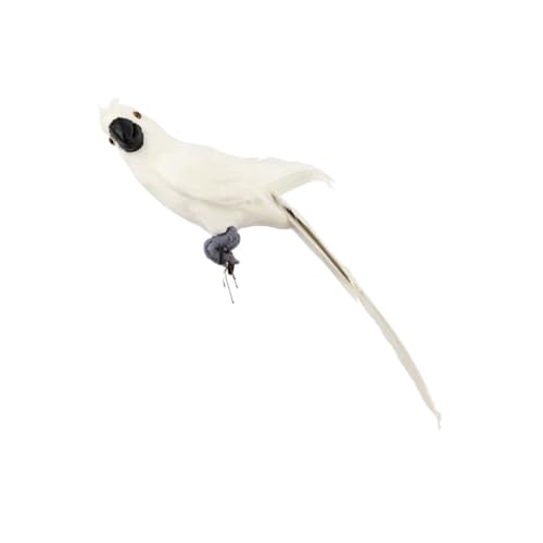 GRIRIW Vogelmodell Vogel Voliere Papagei Dekoration Gartenvogelstatue Vogelspielplatz Papageienspielzeug Vogelkostüm Vogeltränke Für Käfig Vogelspielzeug Nymphensittich Vogel GRIRIW Vogelmodell Vogel Voliere Papagei Dekoration Gartenvogelstatue Vogelspielplatz Papageienspielzeug Vogelkostüm Vogeltränke Für Käfig Vogelspielzeug Nymphensittich Vogel von GRIRIW