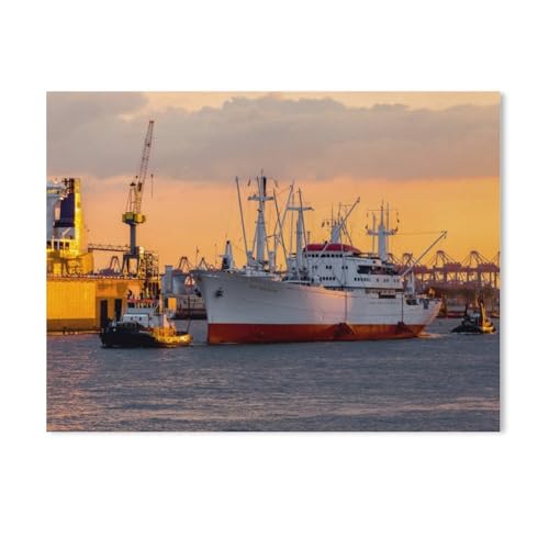 1000 Puzzles Für Erwachsene，Cap San Diego bei der Einfahrt in den Hafen，Freizeit Unterhaltung Kinder Spielzeug Zuhause Dekoration Art（75x50cm）-AE30 von GSBRSNTS