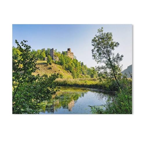 1000 Stück，Burgruine Niederhaus，Puzzle Für Erwachsene Lernspielzeug Für Kinder Kreative Spiele Unterhaltung Holz Puzzles Home Decor（75x50cm）-Z34 von GSBRSNTS