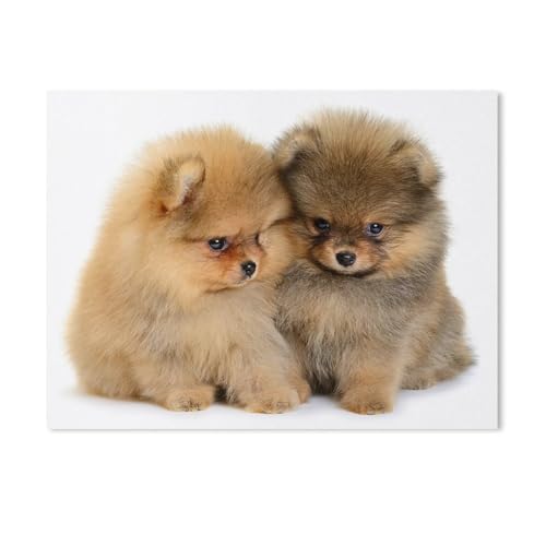 1000 Stück，German Spitz Niedlicher Haustier Hund Tier，Puzzle Für Erwachsene Lernspielzeug Für Kinder Kreative Spiele Unterhaltung Holz Puzzles Home Decor（75x50cm）-H3 von GSBRSNTS