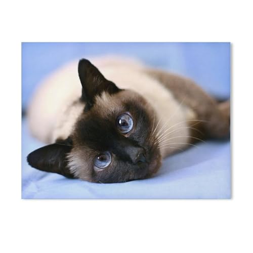 1000 Stück Puzzle，Chat，Erwachsene Kinder Papier Spielzeug Lernspiel（38x26cm）-G74 von GSBRSNTS