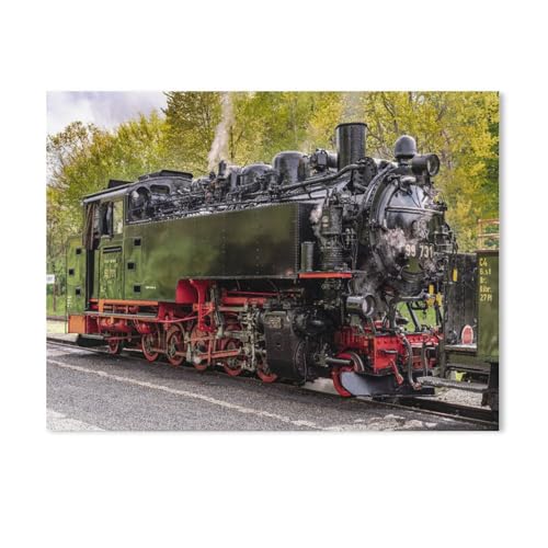 1000-Stück Puzzle Für Erwachsene Und Kinder-Holz Puzzle，Dampflock，Familie Interaktive Spiele Große Ferien Freizeit（75x50cm）-AE35 von GSBRSNTS