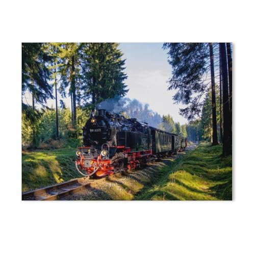 1000-Stück Puzzle Für Erwachsene Und Kinder-Holz Puzzle，Unter Dampf in Sachsen Anhalt，Familie Interaktive Spiele Große Ferien Freizeit（75x50cm）-AC89 von GSBRSNTS