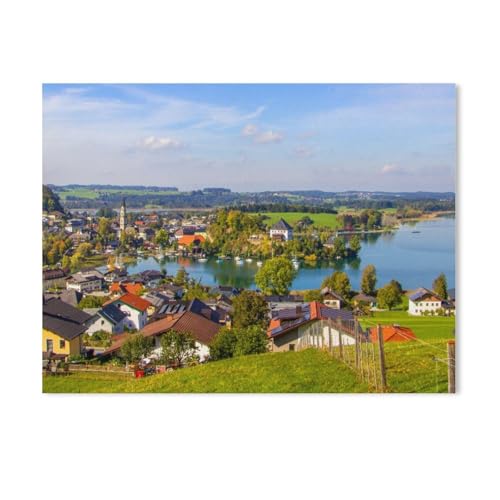 1000 Teile Puzzle Für Erwachsene Und Kinder，Der Blick von der Ludwigshöhe，Stressabbau Herausforderung Bodenpuzzle DIY Home Wanddekoration（50x70cm）-Y58 von GSBRSNTS