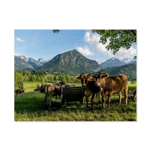 1000 Teile Puzzle Papier，Allgäuer Braunvieh，Kreative Schwierige Puzzles Pädagogisches Stressfreisetzung Spielzeug Für Erwachsene Kinder，Haus Dekoration Geschenk（38x26cm）-AH34 von GSBRSNTS