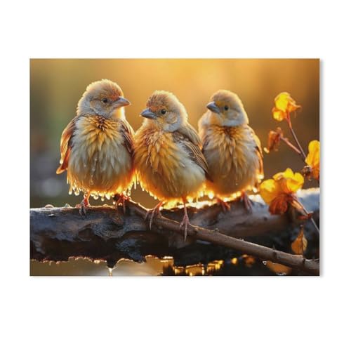 1000 Teile Puzzle Papier，Vögel, herrlicher Sonnenschein, Nicht wahr!，Kreative Schwierige Puzzles Pädagogisches Stressfreisetzung Spielzeug Für Erwachsene Kinder，Haus Dekoration Geschenk（50x70cm）-AG58 von GSBRSNTS