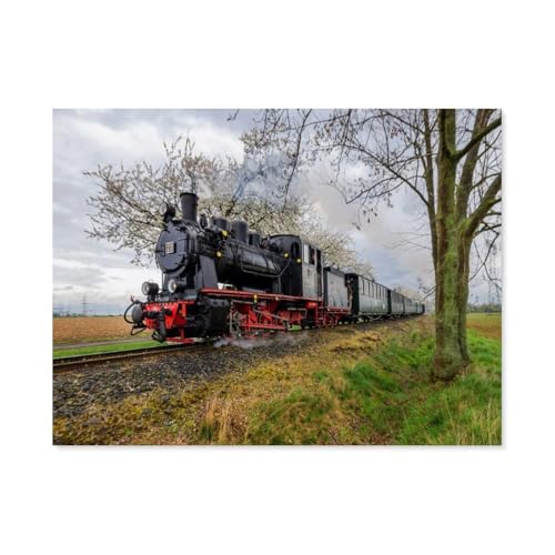 Bergwarksbahn，Puzzle 1000 Teile,Intellektuelle Entwicklung Pädagogisches Nach Hause Interessante Dekompression Brain Challenge Puzzle Für Jugendliche Kinder（38x26cm）-AH69 von GSBRSNTS