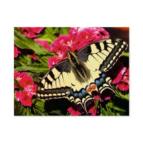 Colorful Animals - Schmetterling，Puzzles für Erwachsene 1000 Teile, Klassische Puzzle Puzzle Schwierig für Erwachsene Teenager Freizeit Spaß Spiel Spielzeug （38x26cm）-B30 von GSBRSNTS