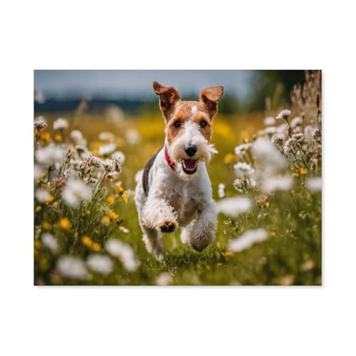 Der Welpe rannte mit voller Geschwindigkeit über das Gras，Puzzles 1000 Stück Puzzles Für Erwachsene Kinder Klassisches Familienpuzzle Indoor DIY Spielzeug Geburtstagsgeschenk（38x26cm）-F81 von GSBRSNTS