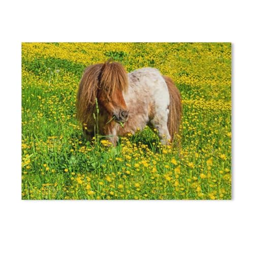 EIN Pony in der Sommerwiese，Puzzle 1000 Teile Erwachsene Kinde Spaß Lernspielzeug Geschenke（38x26cm）-Y90 von GSBRSNTS