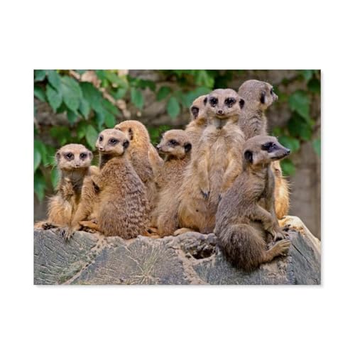 Erwachsene Kinder Puzzles 1000 Teile Puzzle，Familienbande Erdmännchen，einfaches Puzzle Spiel Rolle Puzzle Bildung Spielzeug Spiel Familie Dekoration（75x50cm）-G60 von GSBRSNTS
