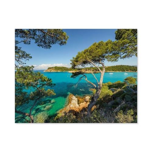 Erwachsene Kinder Puzzles 1000 Teile Puzzle，Schöne Aussicht，einfaches Puzzle Spiel Rolle Puzzle Bildung Spielzeug Spiel Familie Dekoration（75x50cm）-A76 von GSBRSNTS