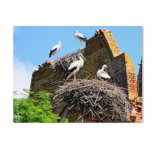 Erwachsene und Kinder Puzzle 1000 Teile Puzzle，Störche auf der Kirchenruine von Kraupischken，einfaches Puzzlespiel Rollenpuzzle Lernspiel Spielzeug Familie Dekoration（50x70cm）-AD34 von GSBRSNTS