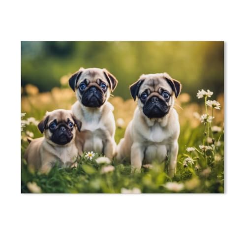 Erwachsene und Kinder Puzzle 1000 Teile Puzzle，Welpen auf Einer Wiese，einfaches Puzzlespiel Rollenpuzzle Lernspiel Spielzeug Familie Dekoration（75x50cm）-AA39 von GSBRSNTS