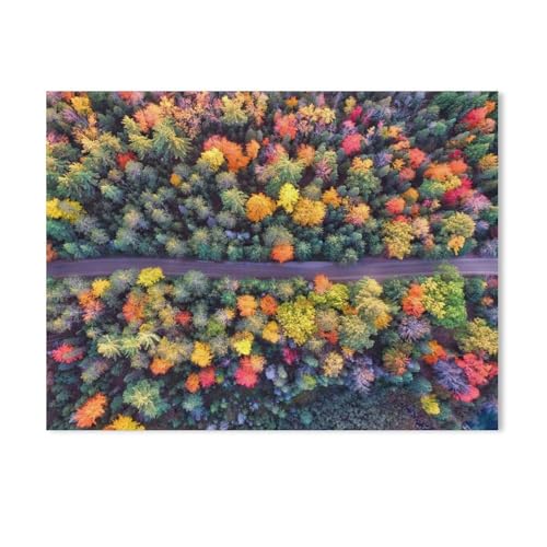 Farbenpracht des Waldes im Indian Summer，1000 Stück Erwachsene Papier Landschaft Puzzles Für Kinder Lernspielzeug Geschenke（38x26cm）-AG95 von GSBRSNTS