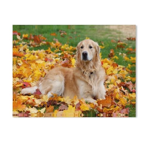Golden Retriever，Puzzles, 1000-teiliges Puzzle Für Erwachsene Und Kinder Ab 10 Jahren（38x26cm）-AD18 von GSBRSNTS