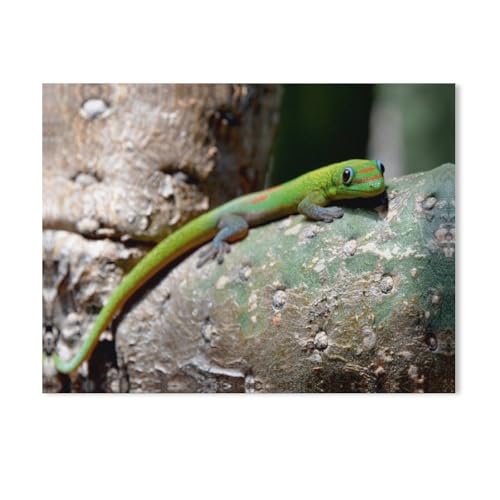 Goldstaubgecko, Big Island, Hawaii，Klassisches Puzzle 3D Puzzle DIY Kit Papier Spielzeug Einzigartiges Geschenk（38x26cm）-AC24 von GSBRSNTS