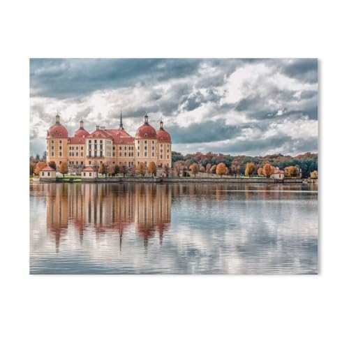 Holz Puzzle 1000 Stück，Schloss Moritzburg，Erwachsene Kinder Spielzeug Dekompression Spiel（75x50cm）-AE84 von GSBRSNTS