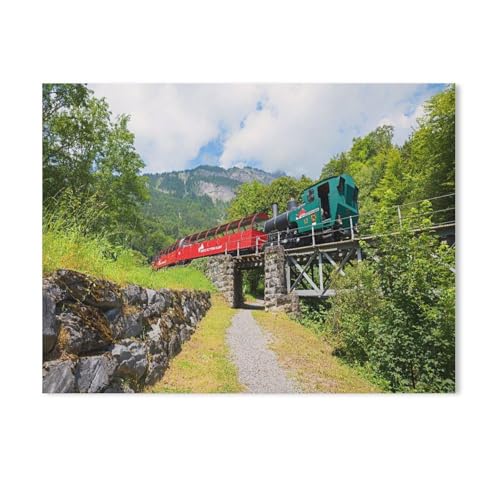 Holz Puzzle Puzzle 1000 Stück，Brienzer Rothornbahn，Puzzles Lernspielzeug Für Erwachsene Geburtstagsgeschenk Home Decoration（75x50cm）-Y46 von GSBRSNTS