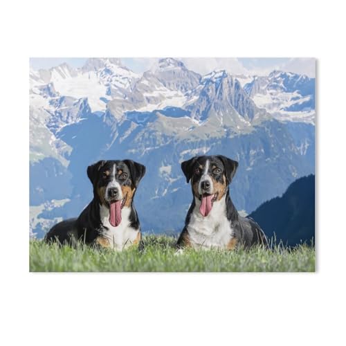 Jigsaw Puzzle 1000 Teile, Hündinnen Appenzeller in der Schweiz, 3D Erwachsene Holz Lernspielzeug Bestes Geburtstagsgeschenk Jungen Mädchen (75 x 50 cm) - AF80 von GSBRSNTS