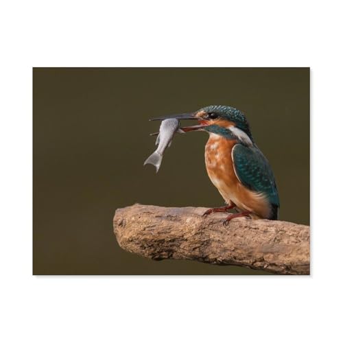 Jigsaw Puzzles 1000 Stück，Eisvogel，Für Papierkinder Spiele Lernspielzeug（38x26cm）-F19 von GSBRSNTS