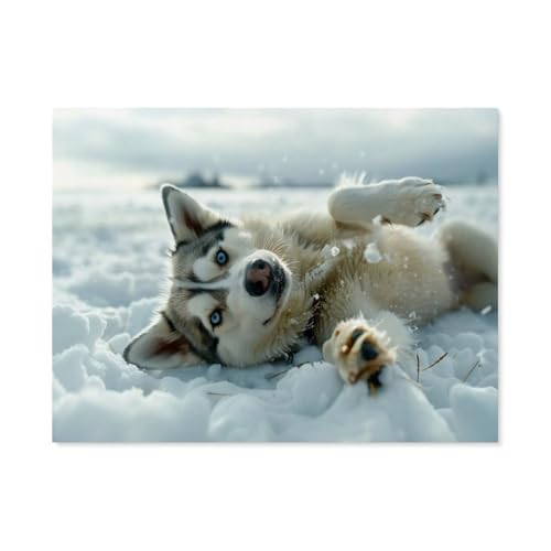 Jigsaw Puzzles 1000 Stück，Husky liegt im Schnee，Für Papierkinder Spiele Lernspielzeug（38x26cm）-F92 von GSBRSNTS