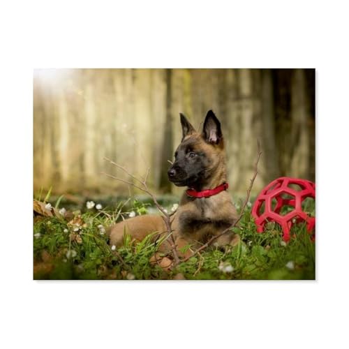 Junger Hund，Puzzle 1000 Teile Papier Puzzle Erwachsene Kinder Lernspielzeug Familie Dekompressionsspiel（38x26cm）-AH62 von GSBRSNTS