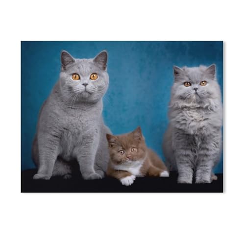 Kittens - Britisch Kurzhaar Katzenkinder，Holz Puzzle 1000 Teile Spielzeug Für Erwachsene Dekompressionsspiel（75x50cm）-AD96 von GSBRSNTS