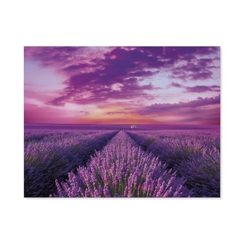 Lavendel-Feld，Papier Puzzle 1000 Stück Adult Toys Dekompressionsspiel（50x70cm）-C82 von GSBRSNTS