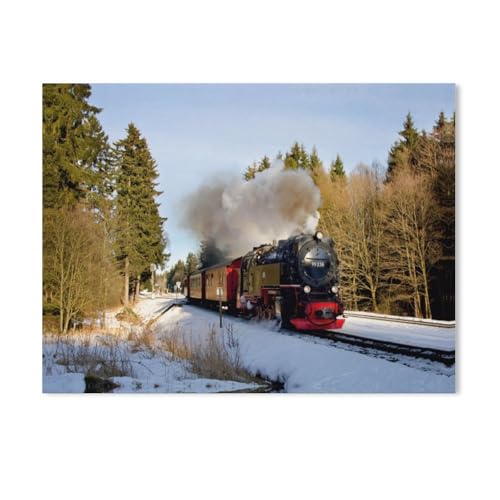 Puzzel Für Erwachsene Jigsaw Puzzle 1000，Brockenbahn，DIY Papp Puzzle Einzigartiges Geschenk（50x70cm）-AC8 von GSBRSNTS